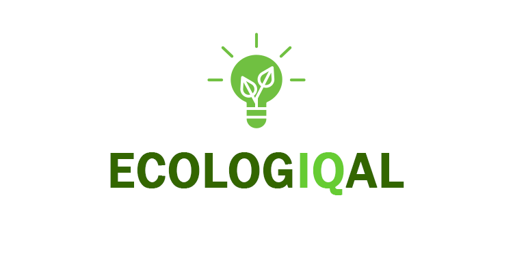 Ecologiqal.com | ecologiqal: an high IQ play on the word "ecological".  (of or relating to the environments of living things or to the relationships between living things and their environments ) 