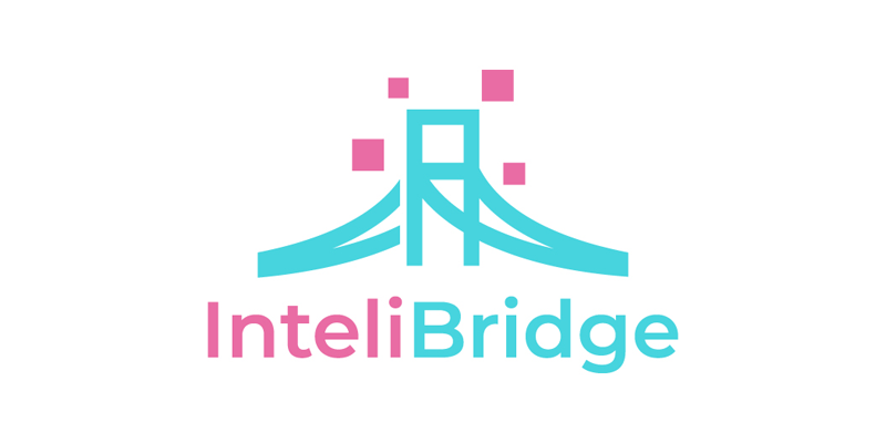 InteliBridge.com | intelibridge: A smart, connected name based on the words "intelligent" and "bridge"