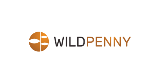 WildPenny.com | Wild Penny: A name that evokes fun, playfulness, and arcade games. 