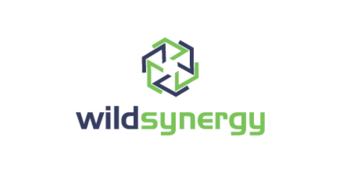 WildSynergy.com | Wild Synergy: A name that suggests cohesive planning and effective teamwork.